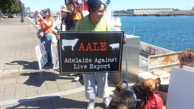 Protesta: Ban live exports.